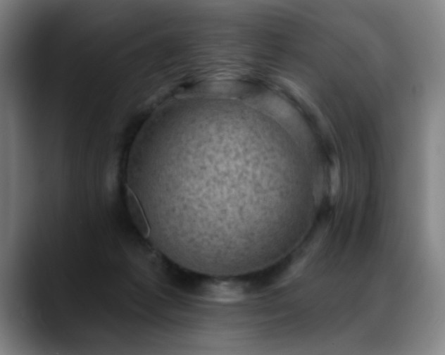 X0000089380221200706151210