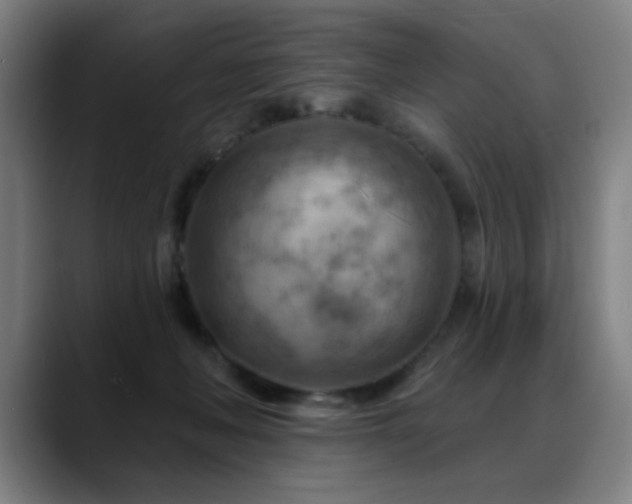X0000089380222200706151210