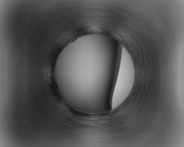 X0000089380223200706151210