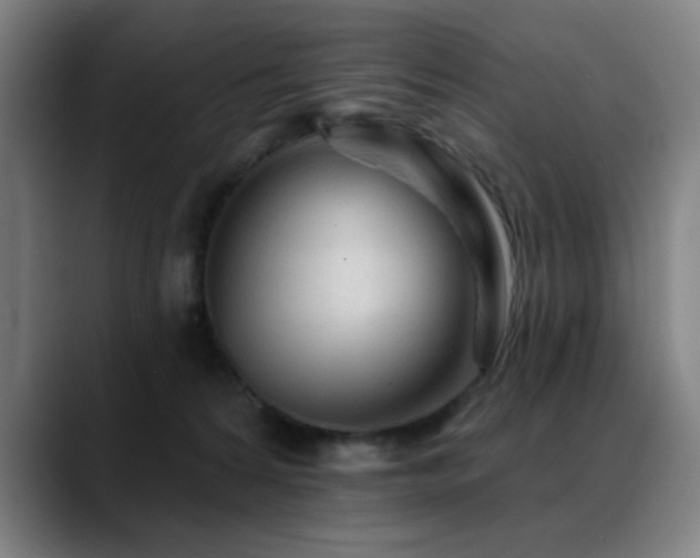 X0000089380224200706151210