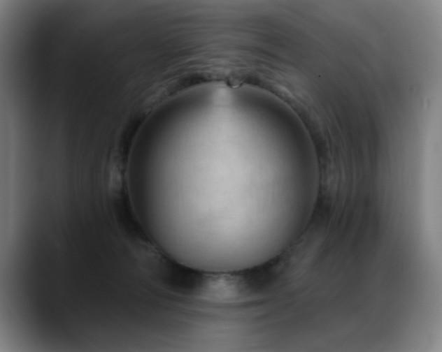 X0000089380226200706151210