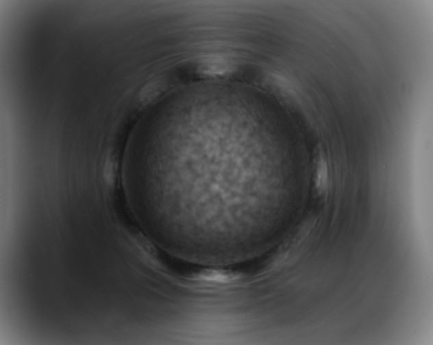 X0000089380227200706151210