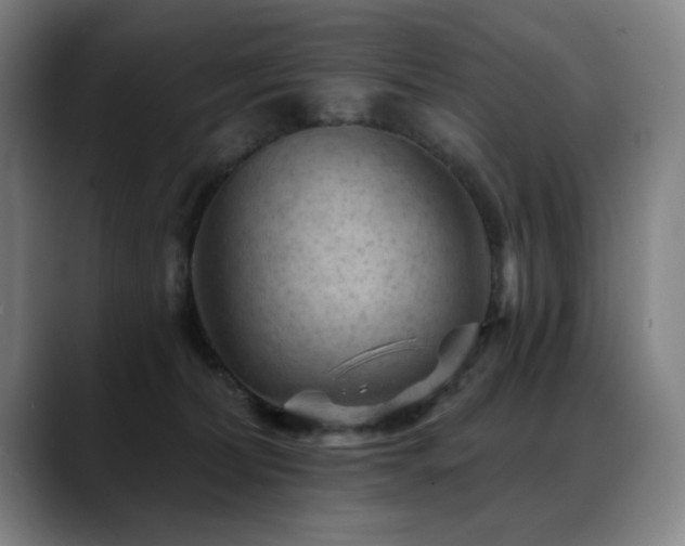 X0000089380228200706151210