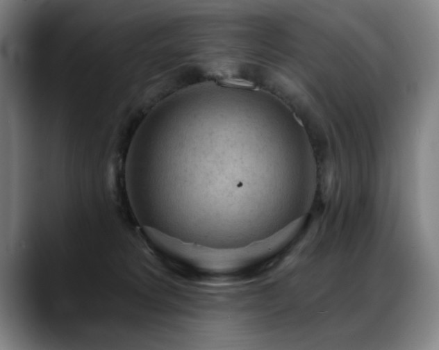 X0000089380229200706151210