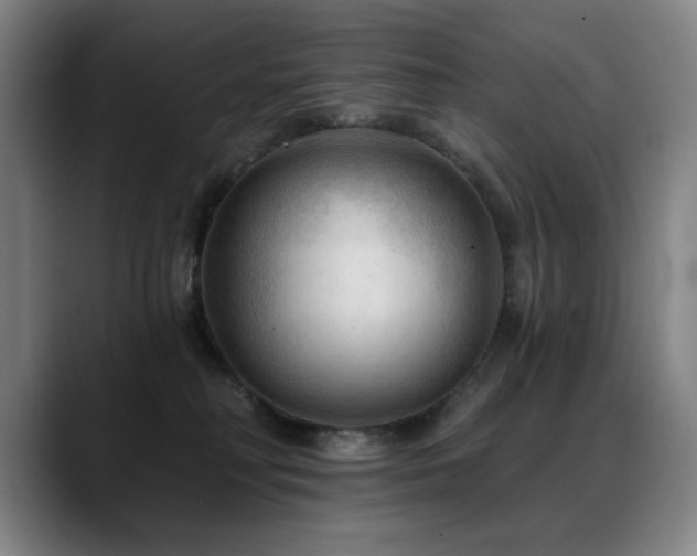 X0000089380230200706151210