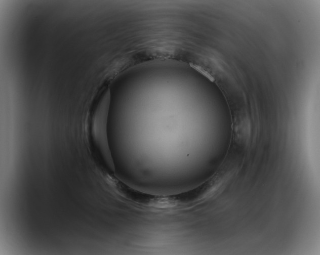 X0000089380231200706151210