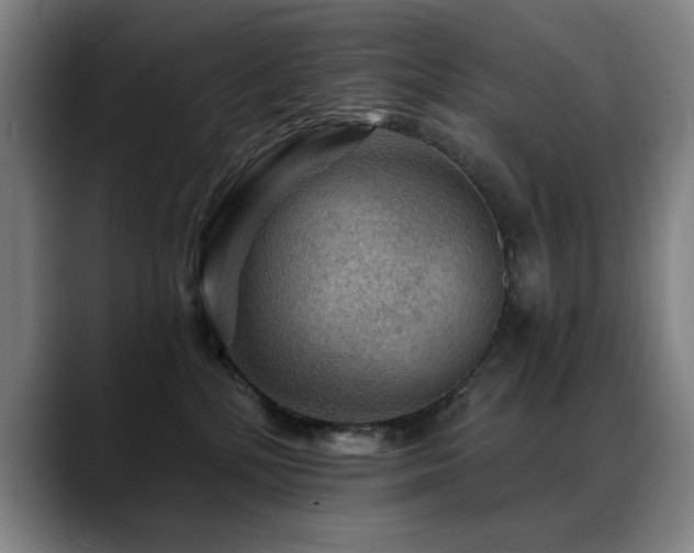 X0000089380232200706151210