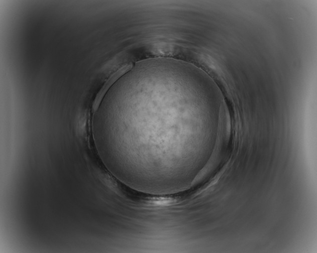 X0000089380233200706151210