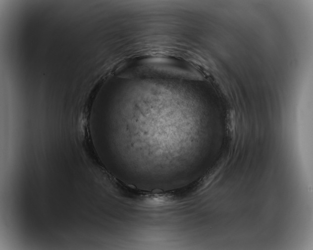 X0000089380235200706151210