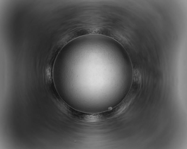 X0000089380238200706151210