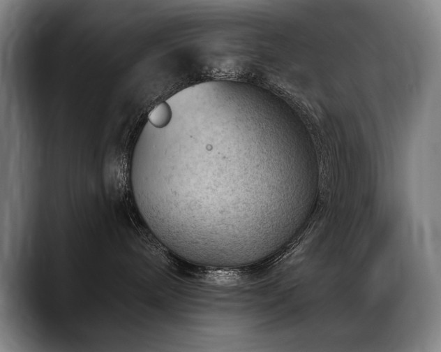 X0000089380240200706151210
