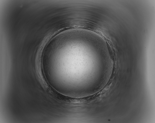 X0000089380241200706151209
