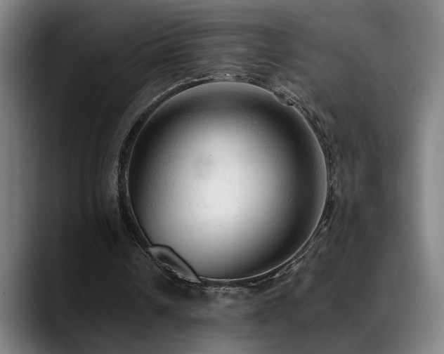 X0000089380242200706151209