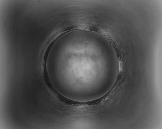 X0000089380243200706151209