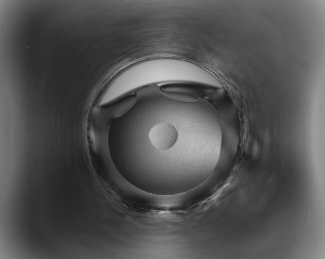 X0000089380244200706151209