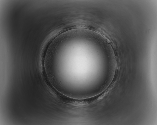 X0000089380245200706151209