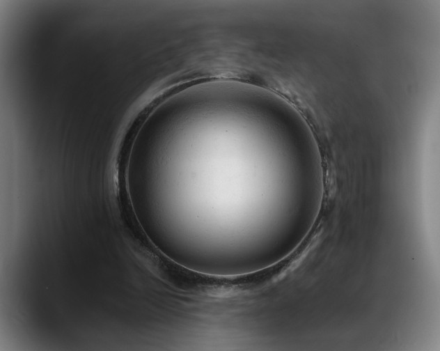 X0000089380246200706151209