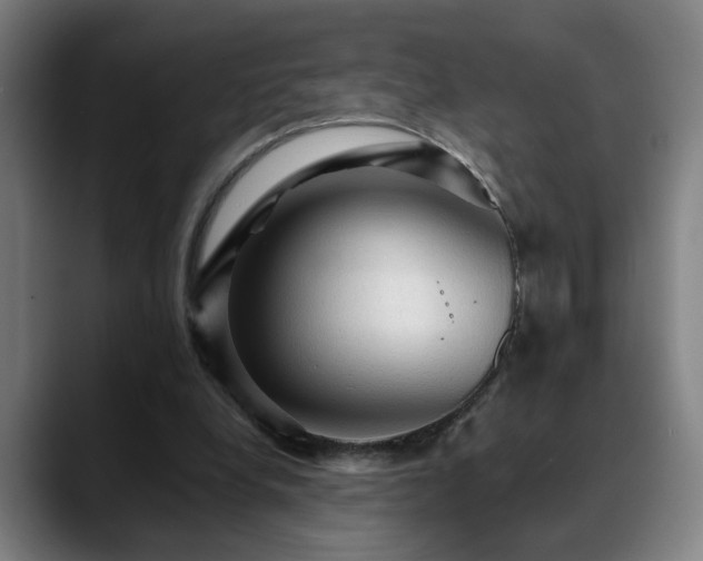 X0000089380248200706151209