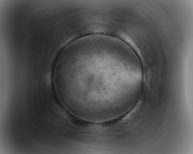 X0000089380249200706151209