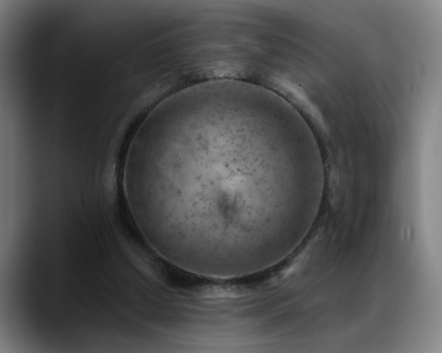 X0000089380250200706151209
