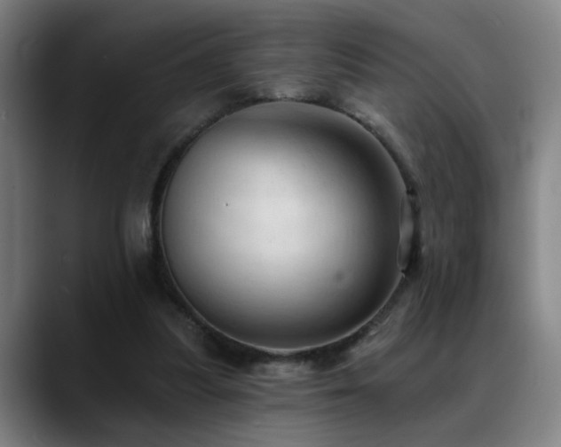 X0000089380251200706151209