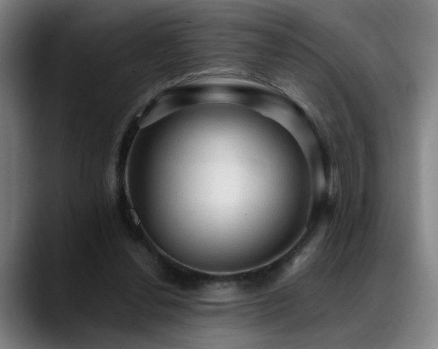 X0000089380252200706151209