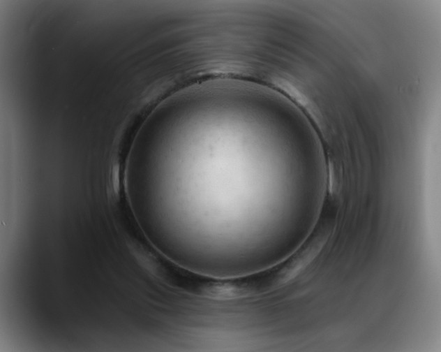 X0000089380253200706151209