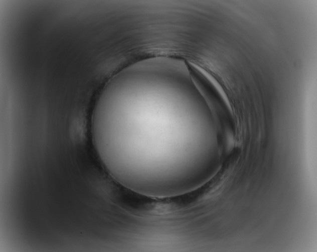 X0000089380255200706151209