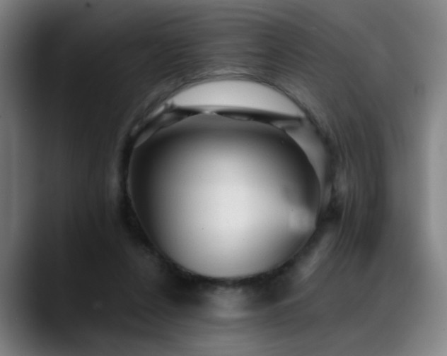 X0000089380256200706151209