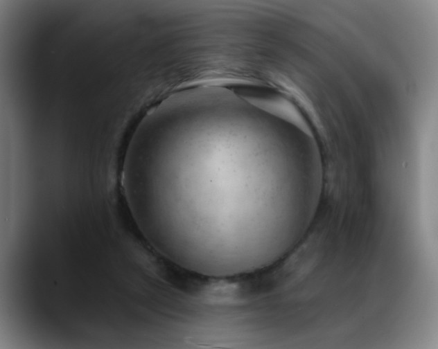 X0000089380257200706151209