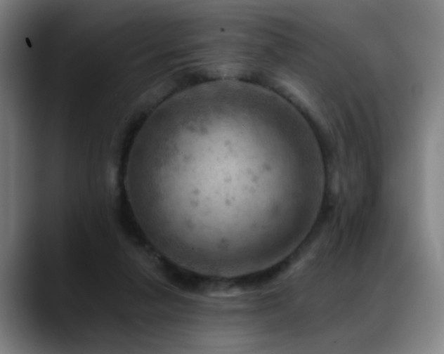 X0000089380258200706151209