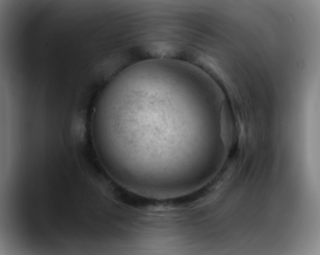 X0000089380259200706151209