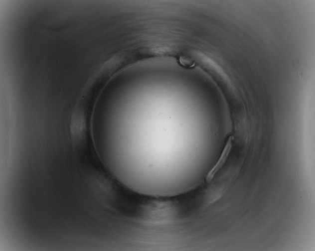 X0000089380260200706151209