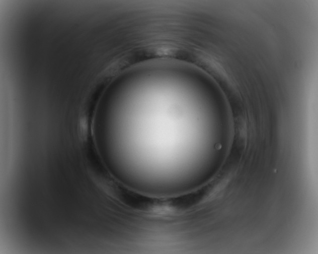 X0000089380262200706151209