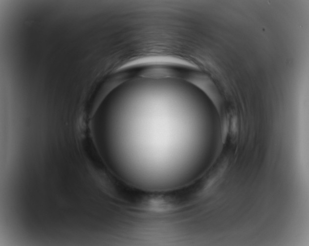X0000089380264200706151209