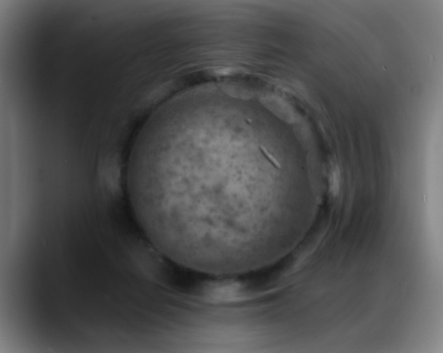 X0000089380266200706151209