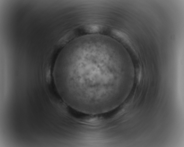 X0000089380267200706151209