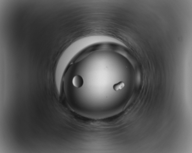 X0000089380268200706151209