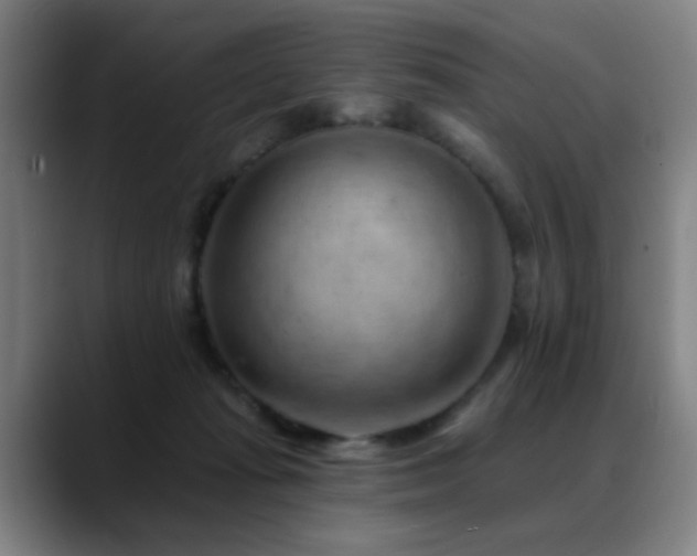 X0000089380269200706151209
