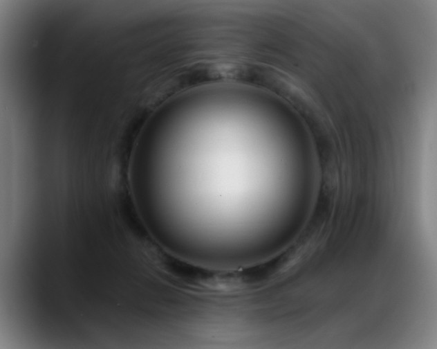 X0000089380270200706151209