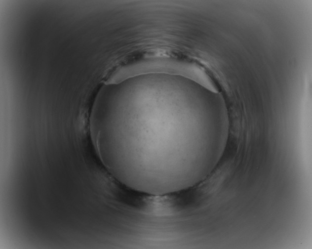 X0000089380273200706151209