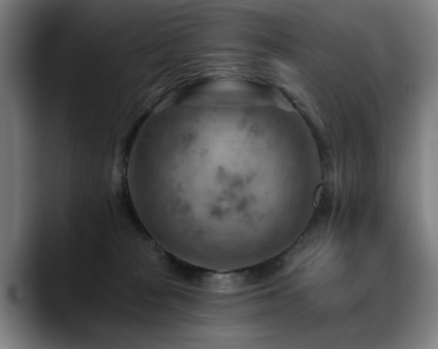 X0000089380277200706151210