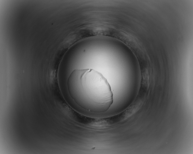 X0000089380278200706151210