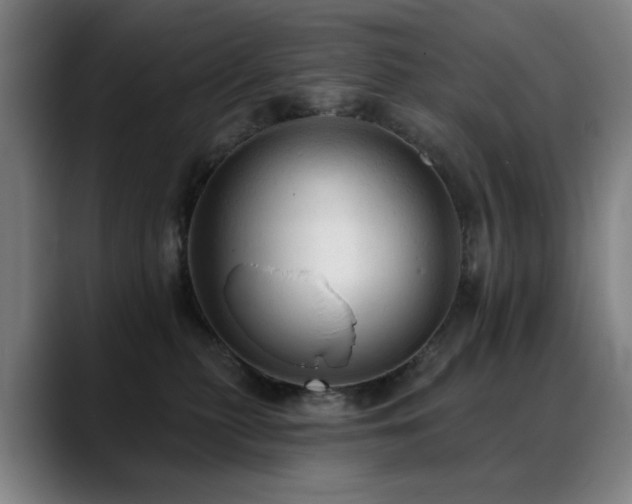 X0000089380279200706151210