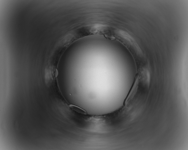 X0000089380280200706151210
