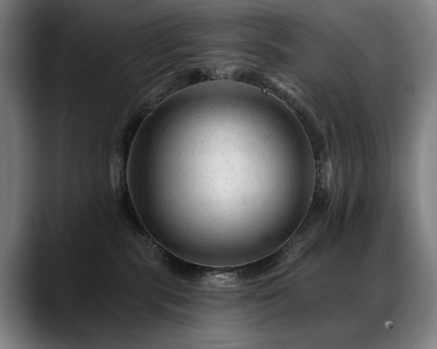X0000089380283200706151210