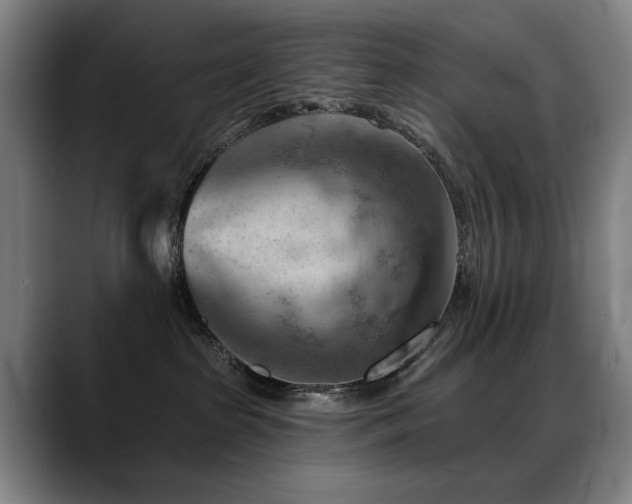 X0000089380285200706151210