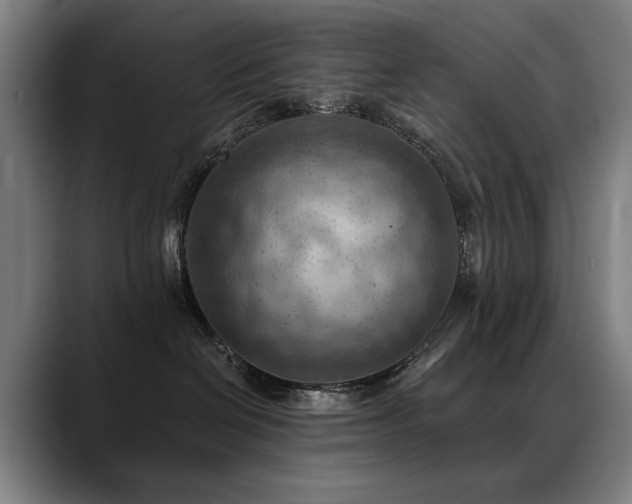 X0000089380286200706151210