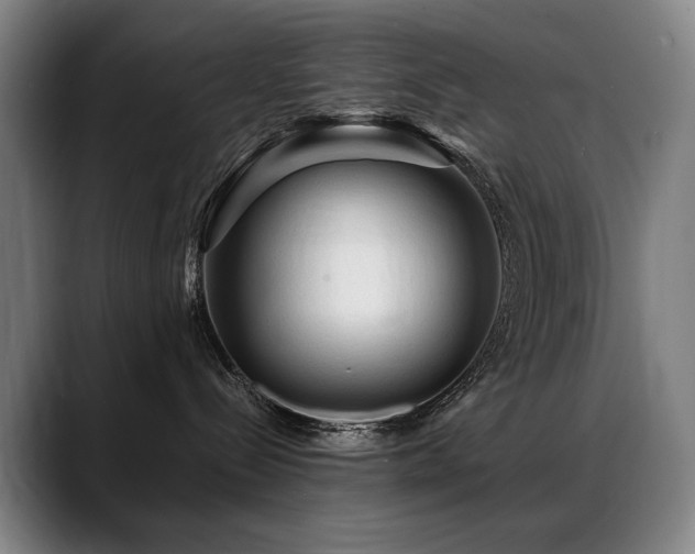 X0000089380288200706151210