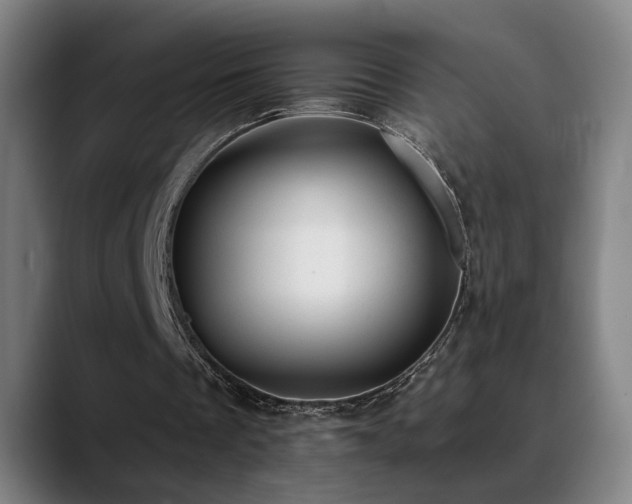 X0000089380289200706151209